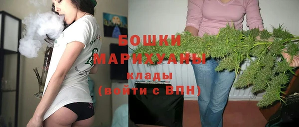скорость Вяземский