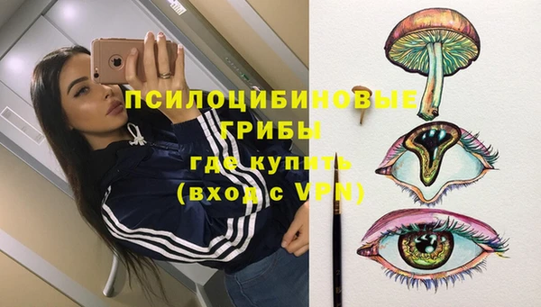 бошки Вязьма