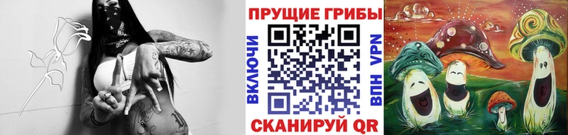 Псилоцибиновые грибы ЛСД  MEGA вход  Истра 